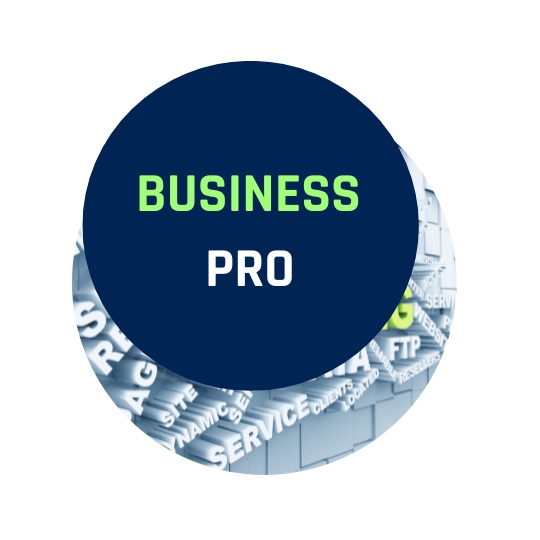 webhosting-business-pro